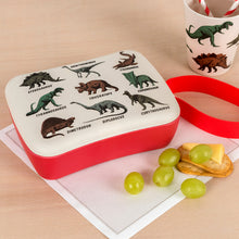 Load image into Gallery viewer, Dinosaur Bamboo Lunch Box