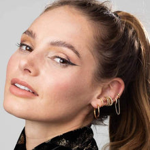 Load image into Gallery viewer, Perfect Hoop Earrings