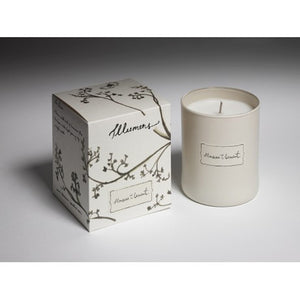 Monsieur Clement - Scented Candle