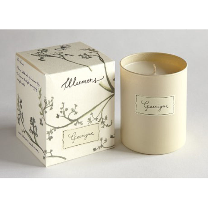 Garrigue - Scented Candle