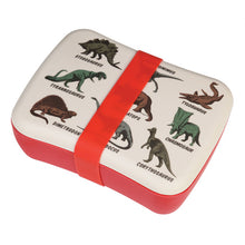 Load image into Gallery viewer, Dinosaur Bamboo Lunch Box
